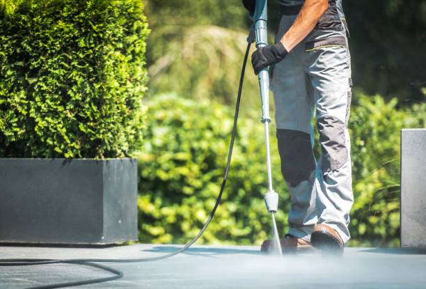 Best Fence Cleaning and Maintenance in China, TX