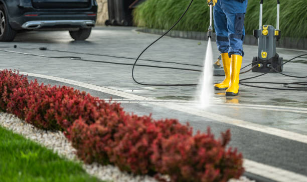 Best Pool Deck Cleaning in China, TX